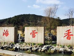 -香雪海