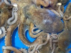 -加尔森烤肉海鲜·火锅烧烤自助