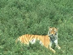 -新疆天山野生动物园