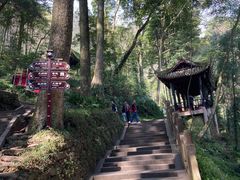 -青城山