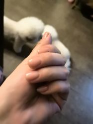 -赢韵美甲美睫瑞士净斑中心