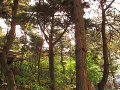 -燕塞湖鸟语林景区