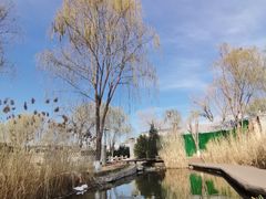 -三里河公园