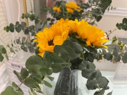 -SILKTONE诗丽堂美容