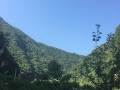 -青峰峡国家森林公园