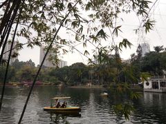 -晓港公园