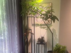 -王府茶宴(大观园总店)