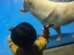 -大连圣亚海洋世界