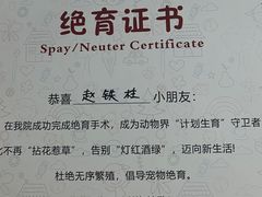 -宠欣安宠物医院·包河区中心医院
