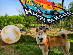 -Walker萌宠露营(大明骑士驿站店)