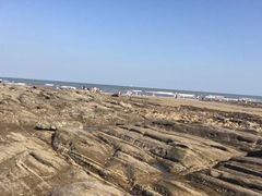-日照海滨国家森林公园