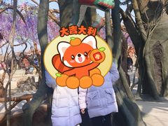 -嬉象谷