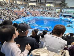 -海合安成都极地海洋公园