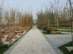 android_upload_pic-南翔镇银翔湖公园