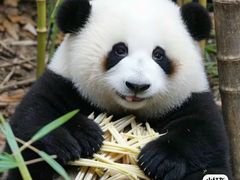 -杭州野生动物世界