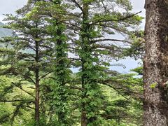 -狼山风景名胜区