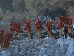 -北山公园