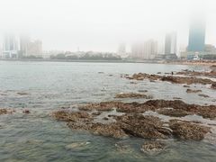 -八大关景区