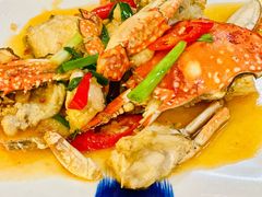 姜葱炒冬蛴-吴记富苑(朝阳店)