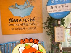 -猫的天空之城概念书店(束河店)