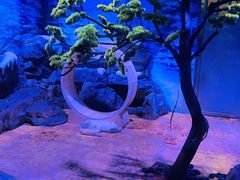 -上海海昌海洋公园