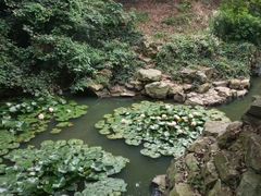 -宝岩生态观光园