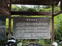 -杨家堂村