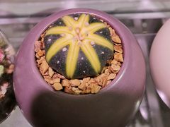 -KKV(深圳宏发大仟里店)