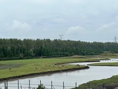 -溱湖国家湿地公园