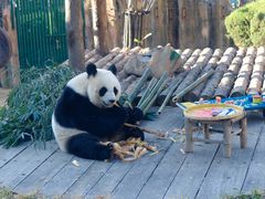 -大连森林动物园