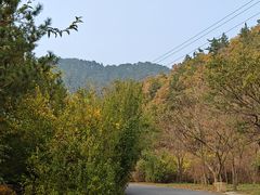 -金龙寺国家森林公园