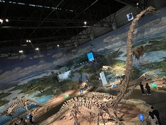 -自贡恐龙博物馆