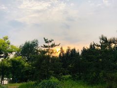 -东郊湿地公园