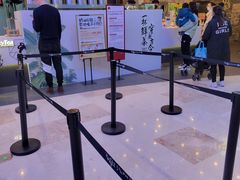 -武汉光谷K11