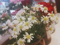 -木王宴语·野生鲜菌火锅(玉河店)