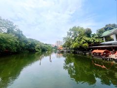 -侨美·唐荔园·40年地道粤菜