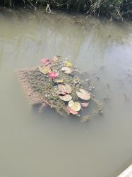 -珍珠泉水上世界