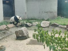 -沈阳森林动物园