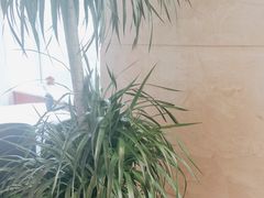 -红顶食府(滨湖九号店)