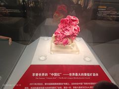 -湖南省地质博物馆