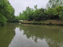 -同里国家湿地公园