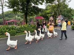 -杭州野生动物世界
