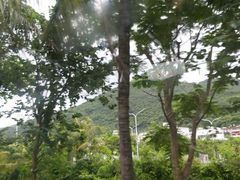 -亚龙湾国际玫瑰谷