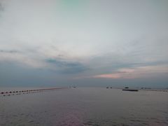 -山东大学(威海校区)
