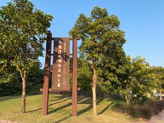 -大亚湾红树林城市湿地公园