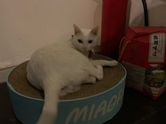 -Doors独立剧情密室(东门分店)