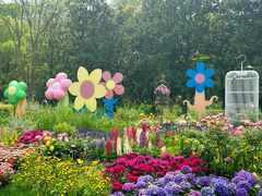 -上海共青森林公园