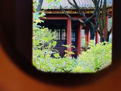 -顺峰山公园