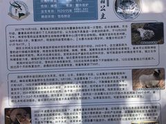 -青藏高原野生动物园