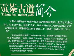 -大唐贡茶院